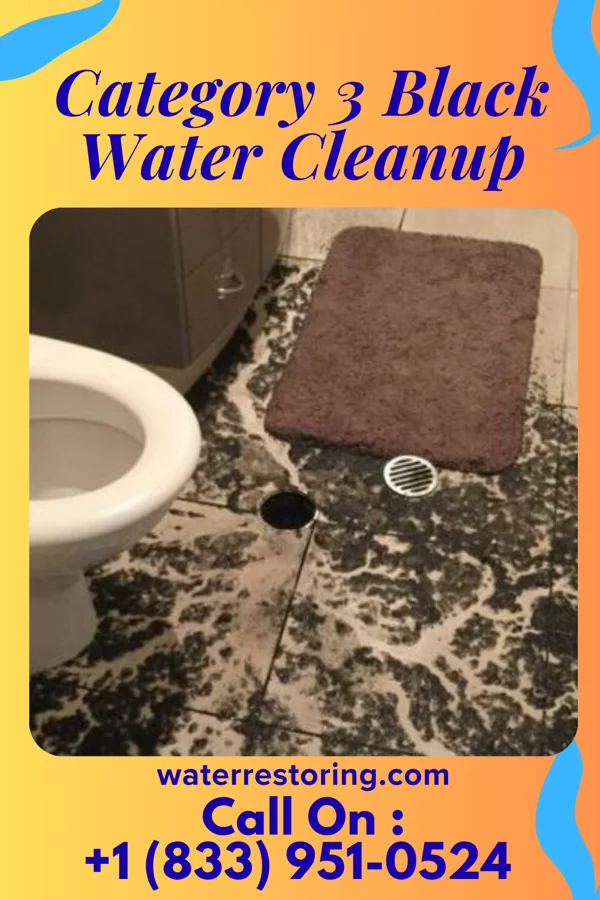 Category 3 Black Water Cleanup in East Germantown, IN