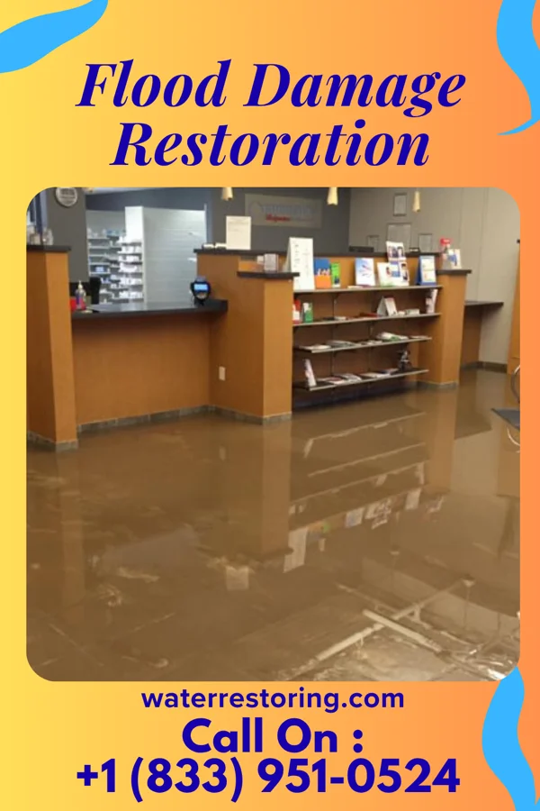 Flood Damage Restoration in East Germantown, IN