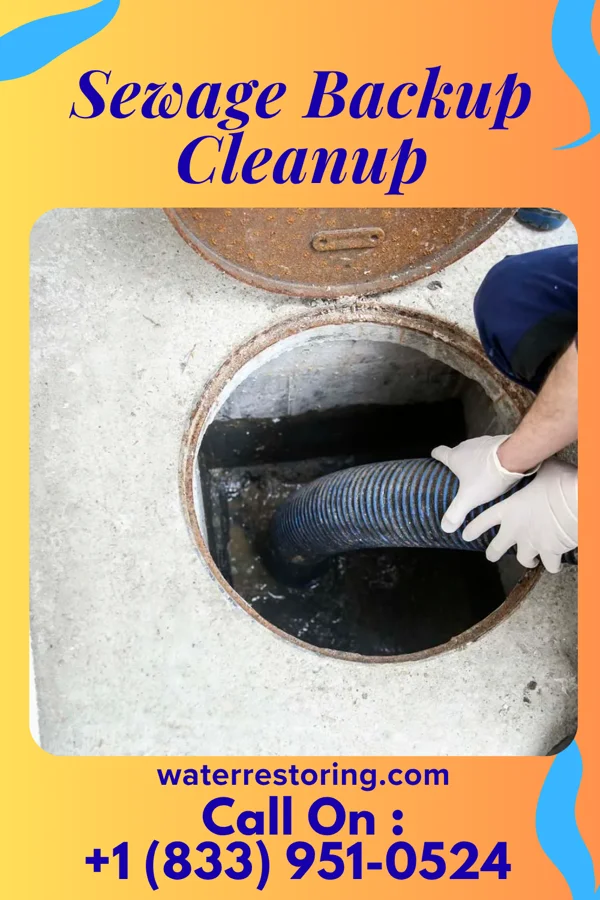 Sewage Backup Cleanup in East Germantown, IN