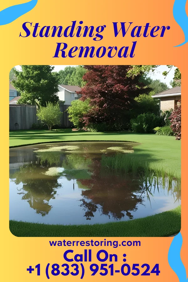 Standing Water Removal in East Germantown, IN